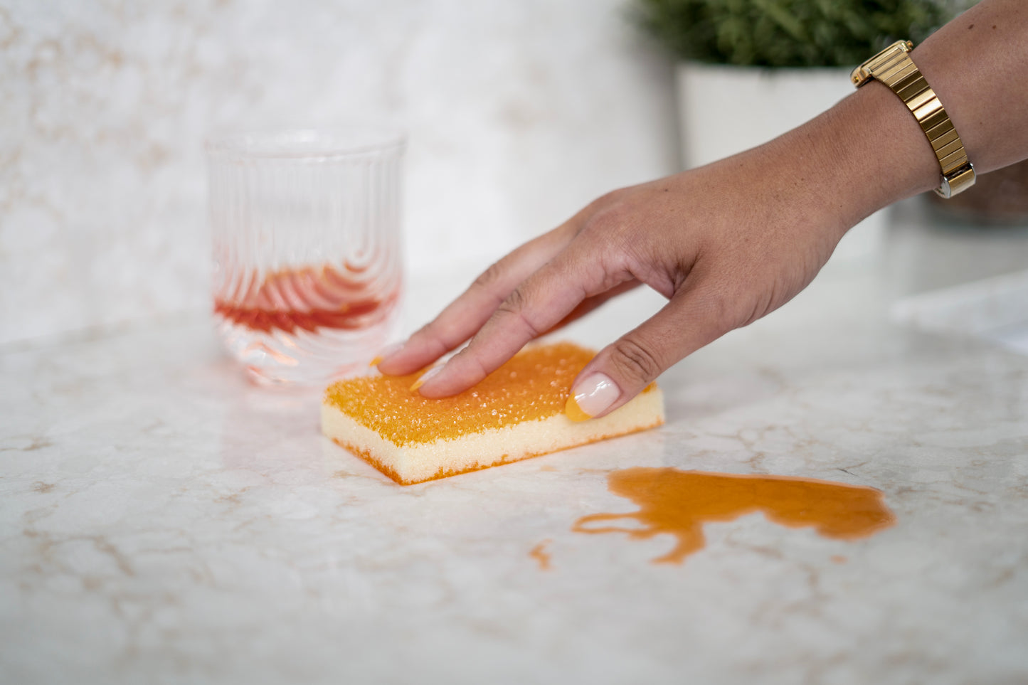 Sponge Daddy (4-Pack) Scrub Daddy